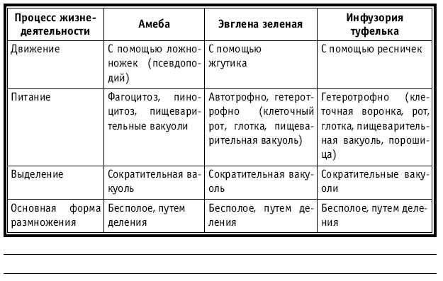 Реферат: Таблица по биологии амебы и прочие твари