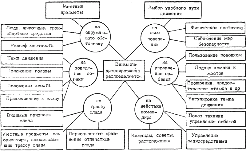 Курсовая работа: Анализ методов и способов общедисциплинарной дрессировки собак